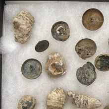 Load image into Gallery viewer, Civil War Bullet &amp; Button Relic Collection (x36), Presumably Gettysburg Related
