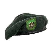 Load image into Gallery viewer, Vietnam War US Army 10th SF Green Beret w/ Battling Skulls Crest