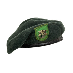 Vietnam War US Army 10th SF Green Beret w/ Battling Skulls Crest