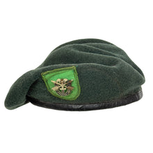 Load image into Gallery viewer, Vietnam War US Army 10th SF Green Beret w/ Battling Skulls Crest