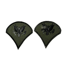 Load image into Gallery viewer, Pair of Vietnam War Era Subdued Specialist Rank