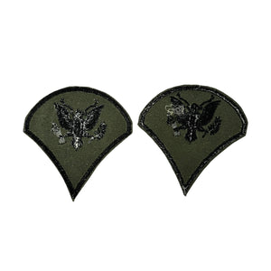 Pair of Vietnam War Era Subdued Specialist Rank