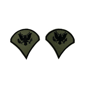 Pair of Vietnam War Era Subdued Specialist Rank